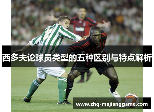 西多夫论球员类型的五种区别与特点解析